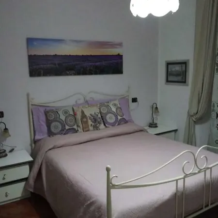 Casa Del Cedro - Cedar House Vakantiehuis