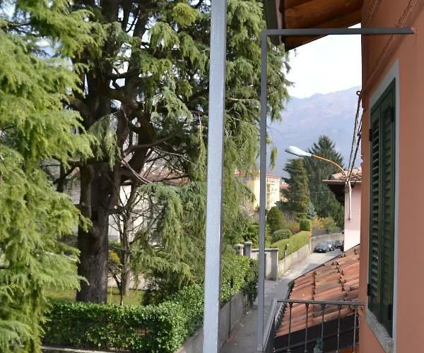 Casa Del Cedro - Cedar House *