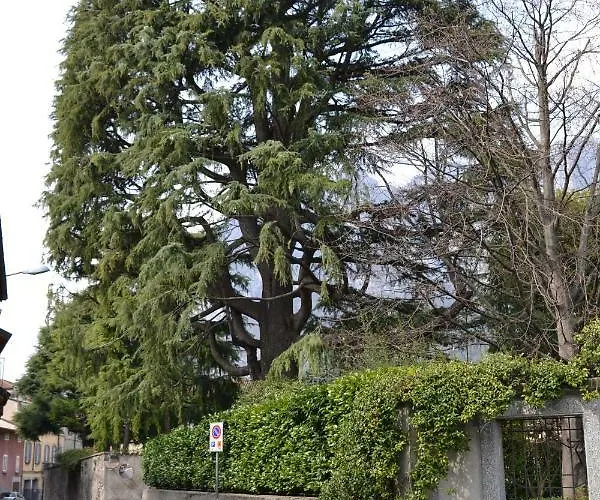 Casa Del Cedro - Cedar House Tatil Evi *